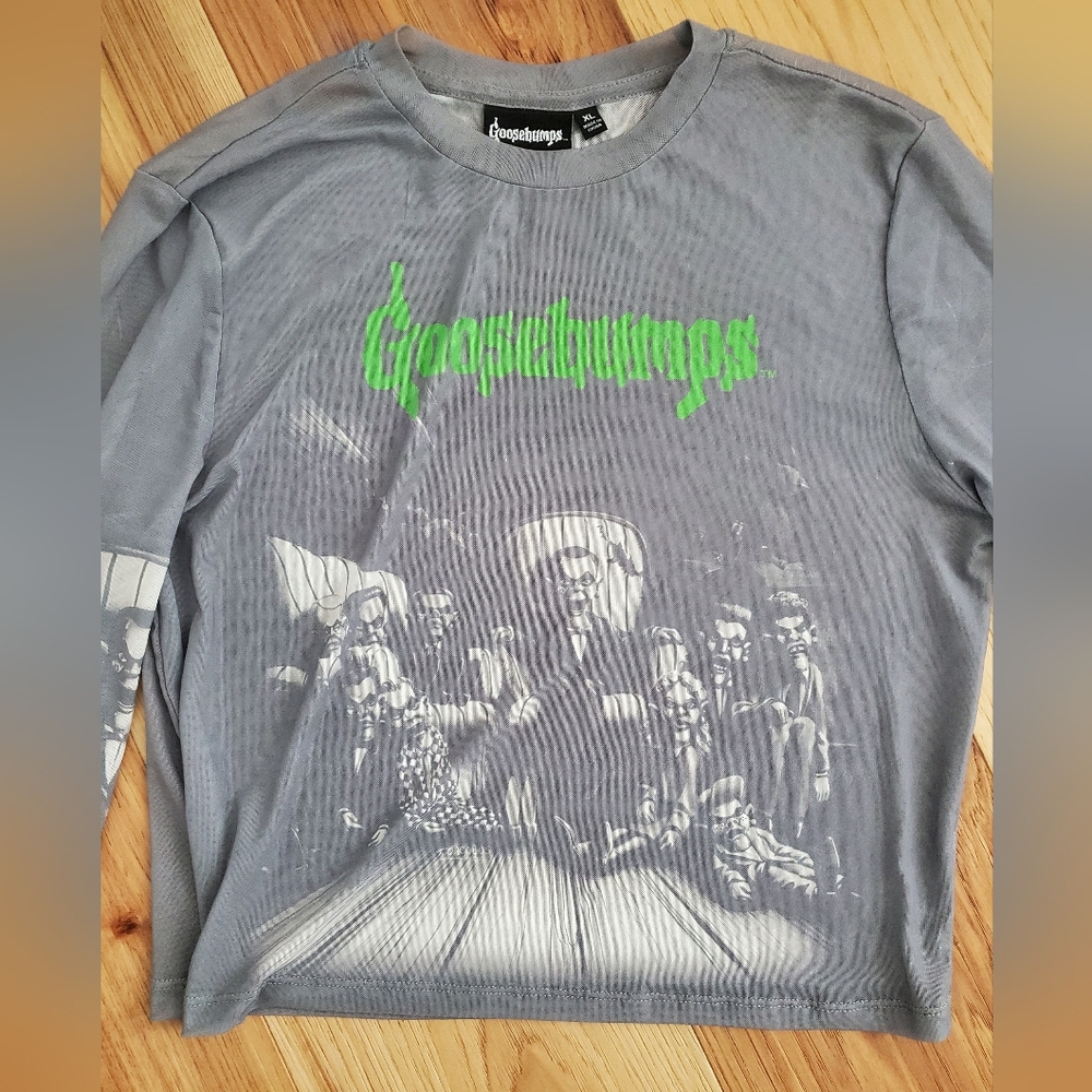 Goosebumps Sheer Long Sleeve Crop Top